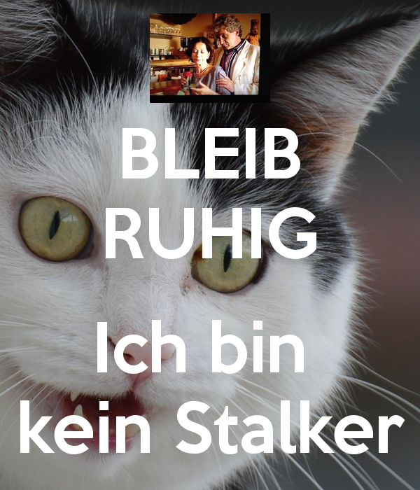 I'm no stalker